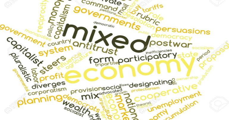 Entrepreneurs in a mixed economy